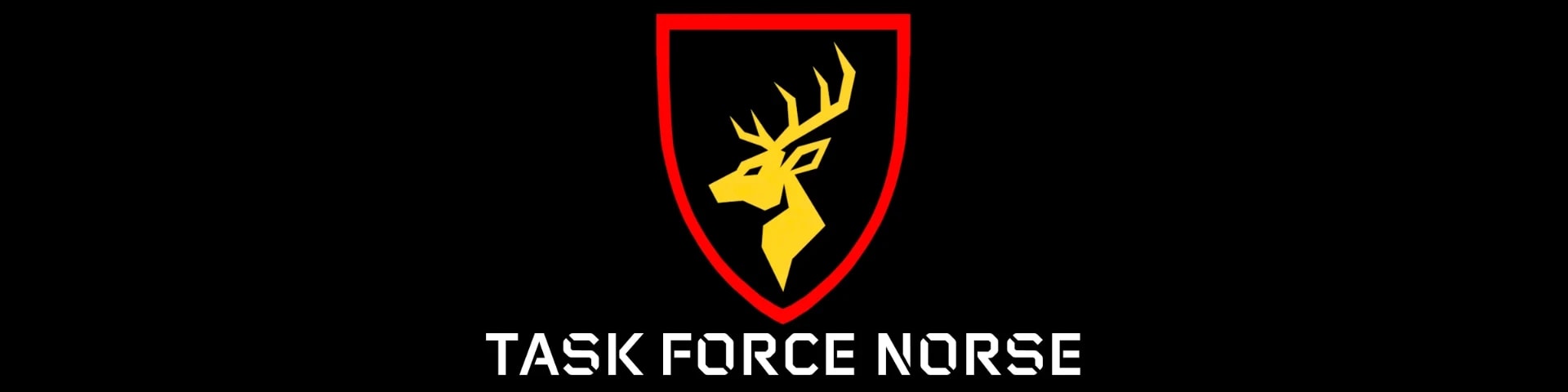 Task Force Norse banner