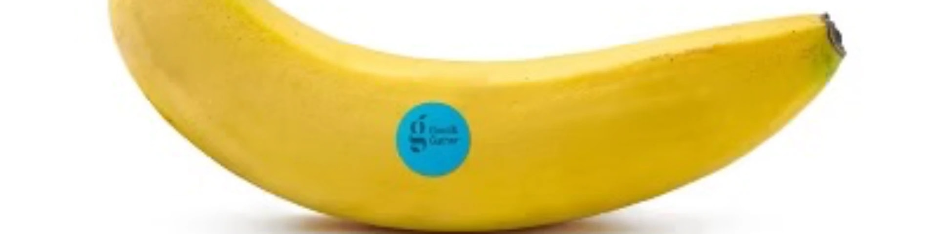 Banana Republic banner