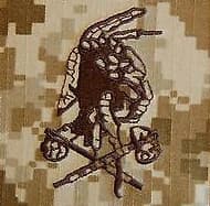 Naval Special Warfare Group 1 insignia