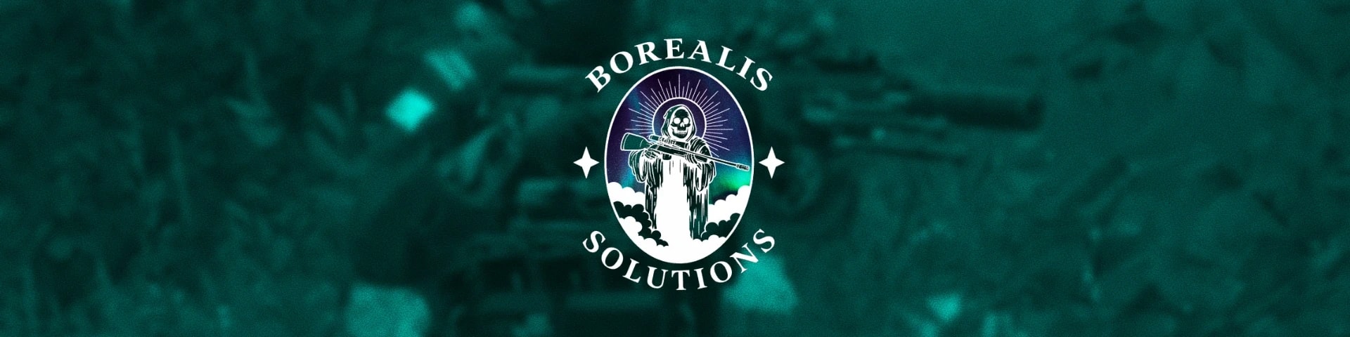 Borealis Solutions banner