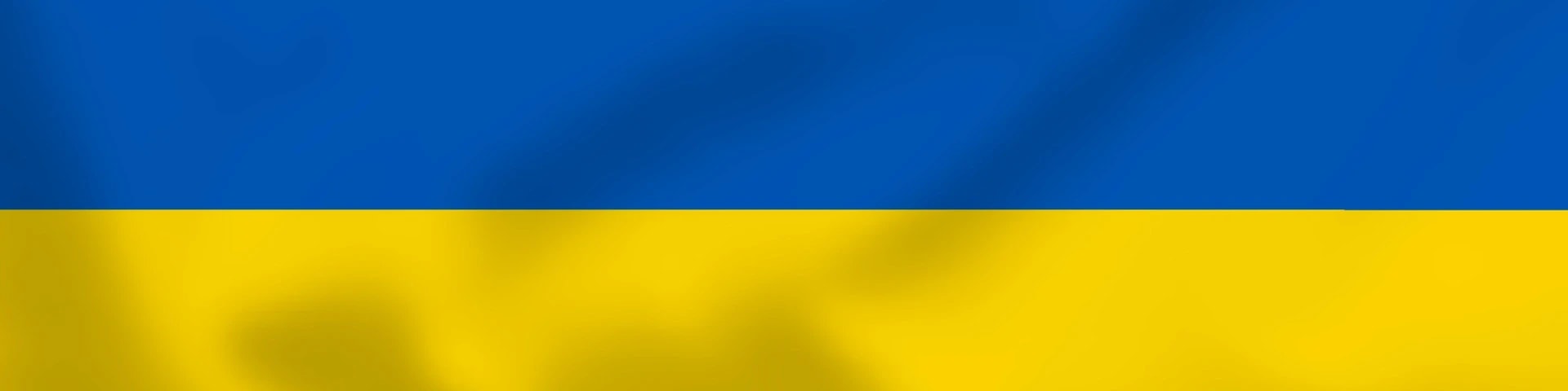 BUREVIY LEGION - UKRAINE banner