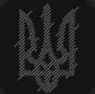 BUREVIY LEGION - UKRAINE insignia
