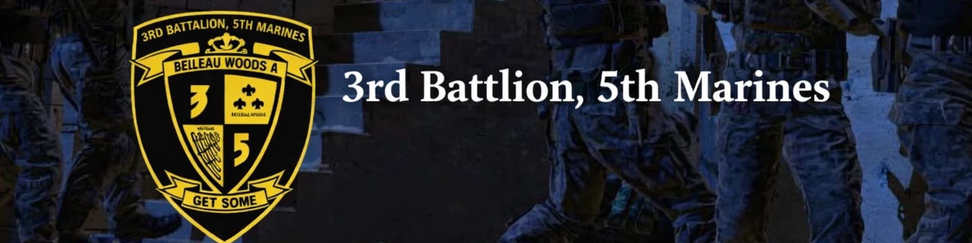 3rd Battalion 5th Marines banner
