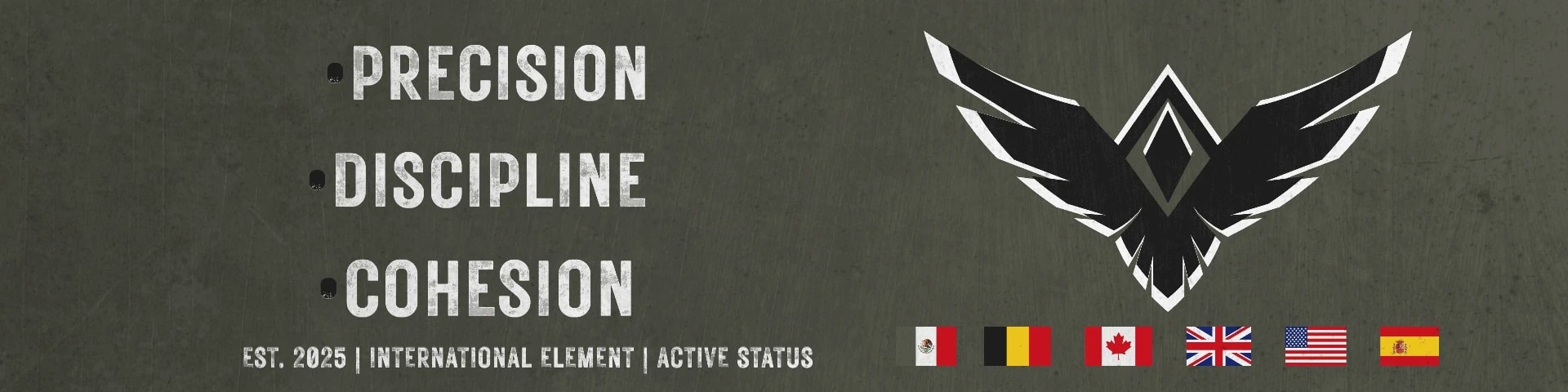 201 NIGHTHAWKS banner