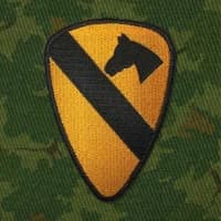 5th Cavalry Regiment | Vietnam insignia