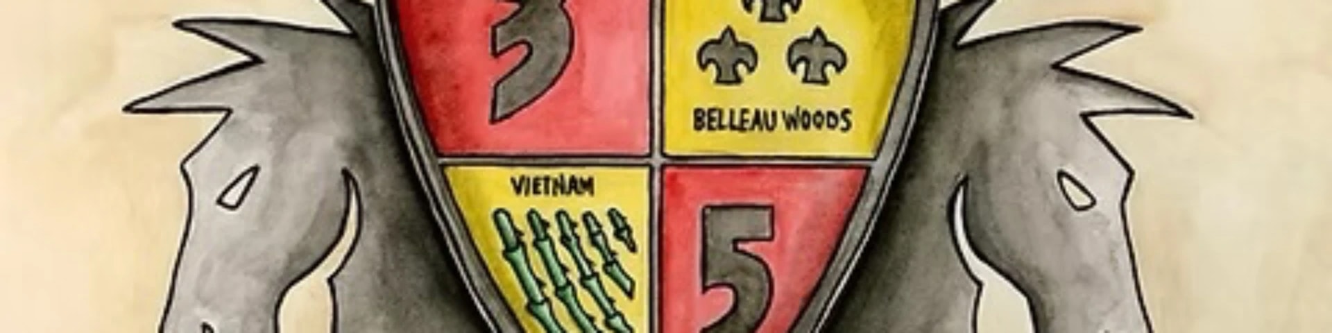 3 battalion 5th marine banner