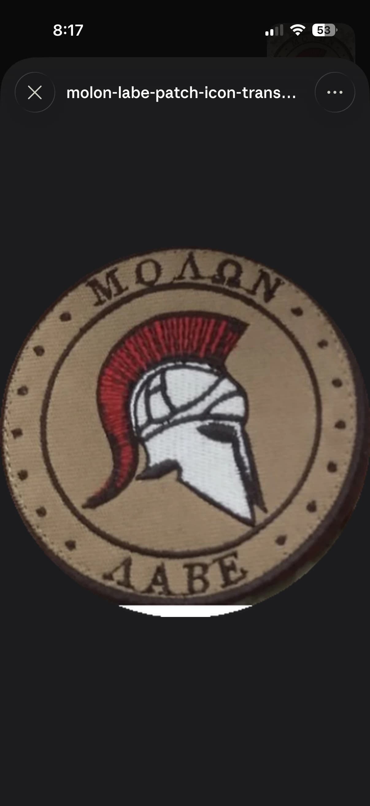 1st SFOD-D | A- Squadron insignia