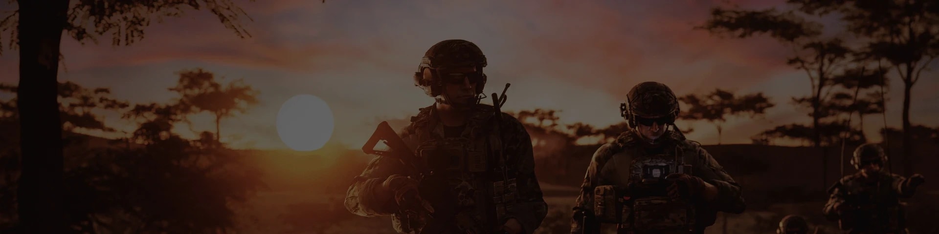 173rd Airborne Brigade banner