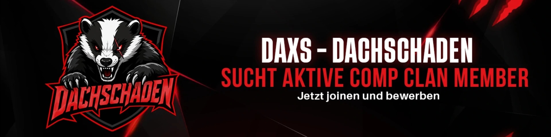 Dachschaden - DAXS banner