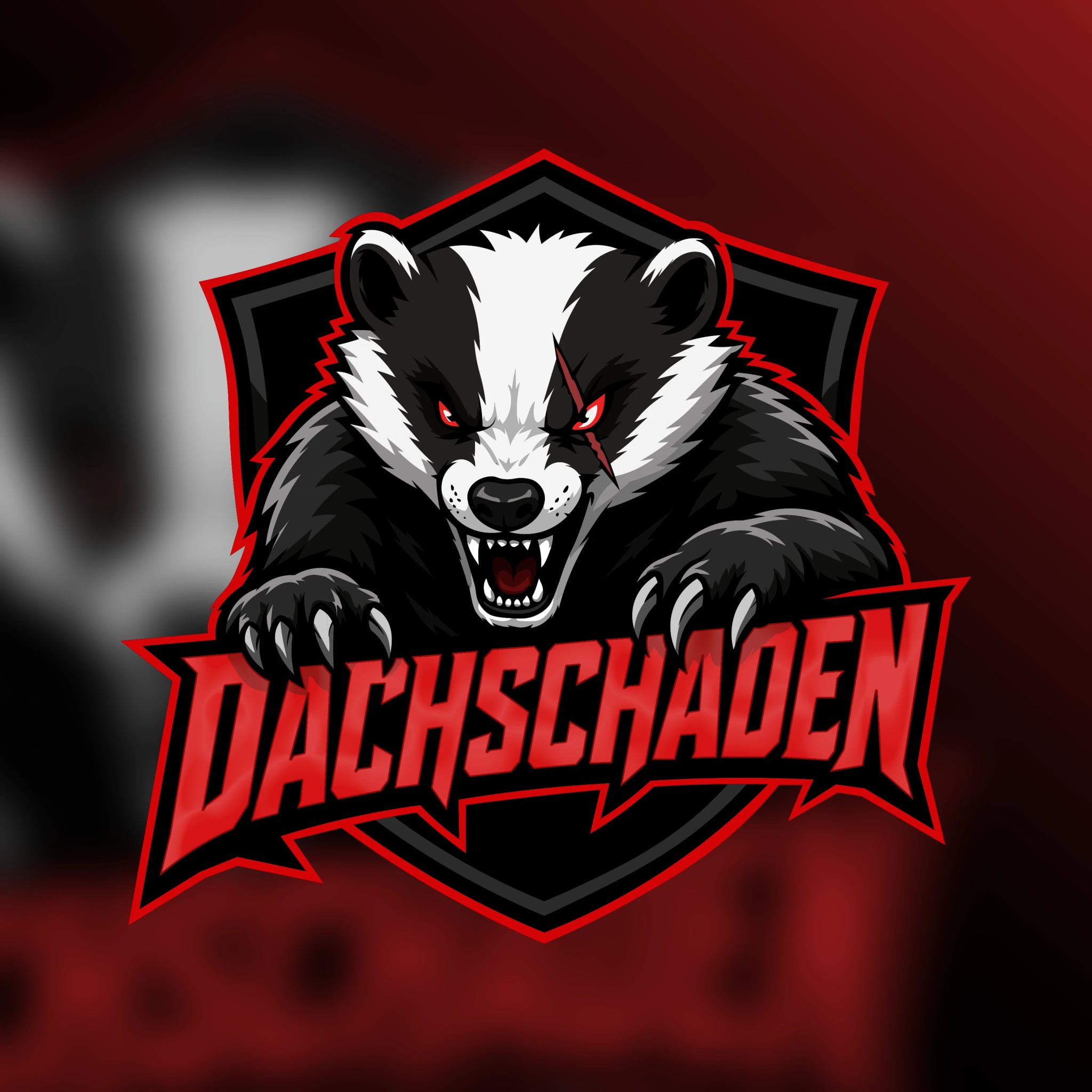 Dachschaden - DAXS insignia