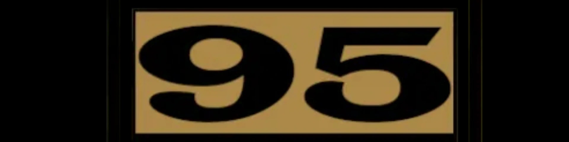 1/95th Light Infantry banner