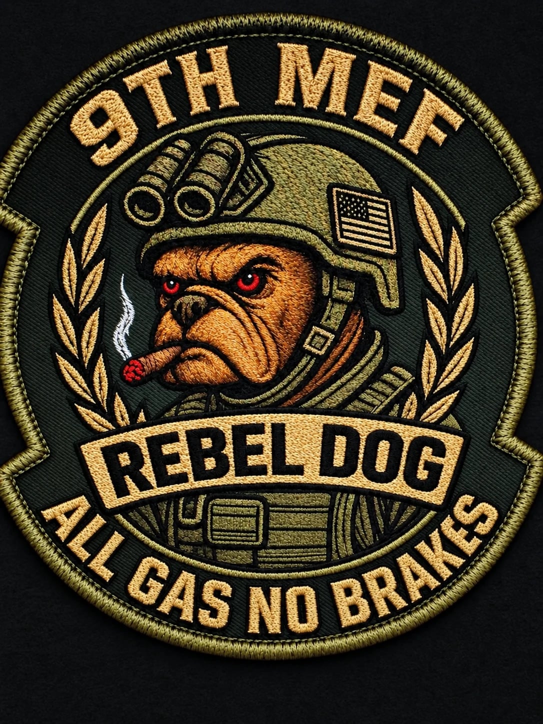 9th Marine expeditionary force (Rebel Dogs) insignia