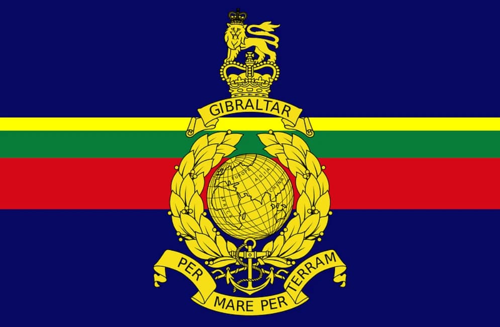 Royal Marines | TAVR insignia