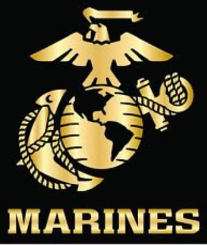 1st Platoon insignia