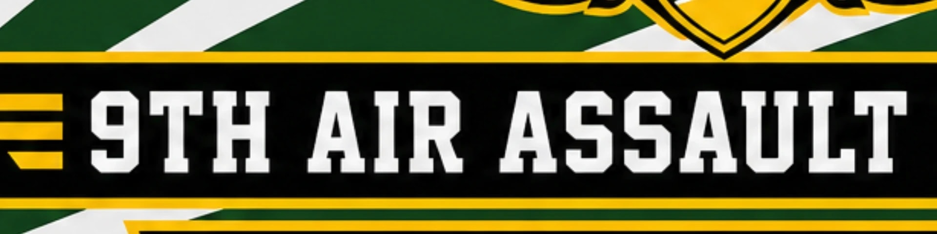 CDF 9TH Air Assault Coy banner