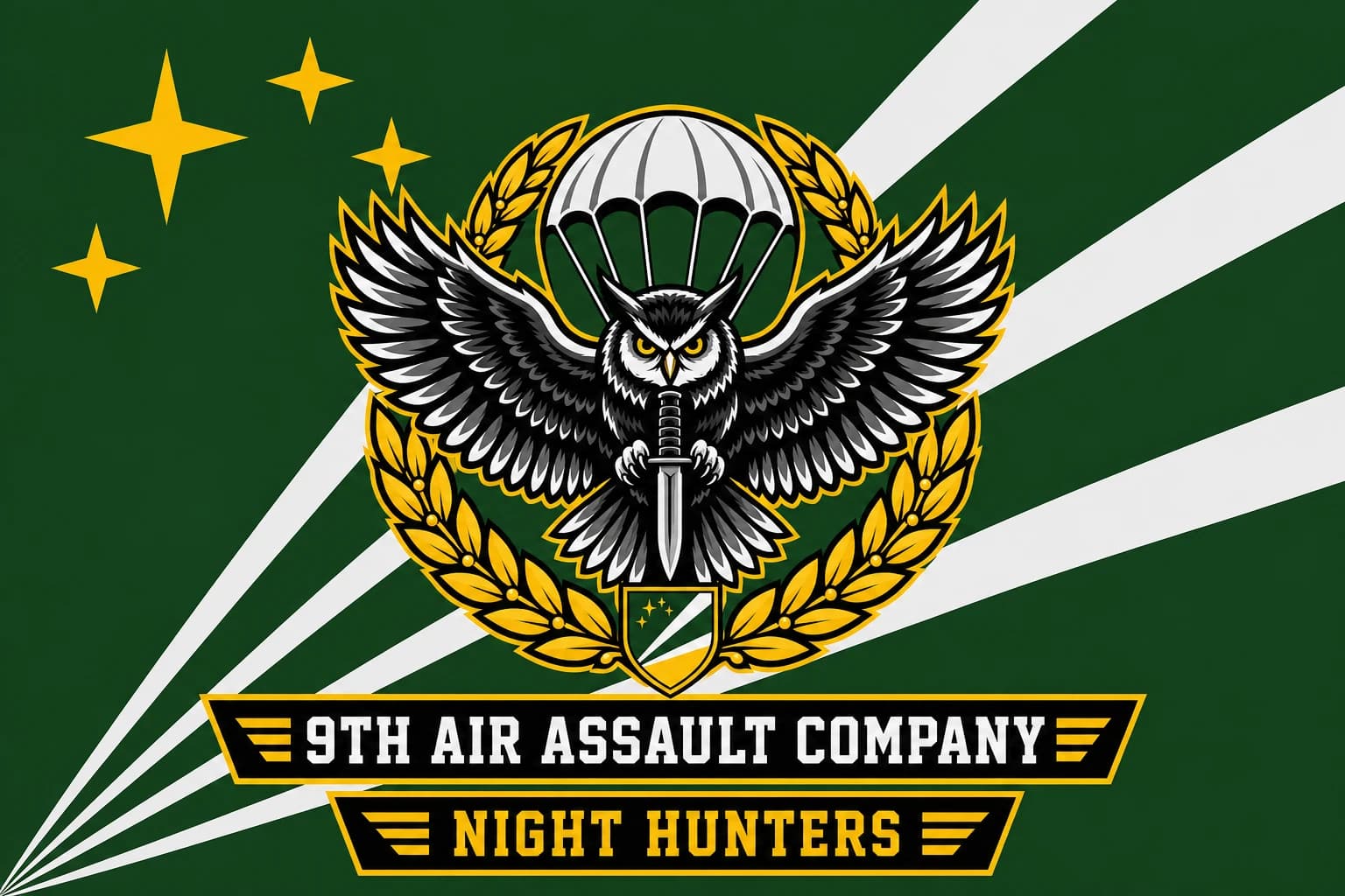 CDF 9TH Air Assault Coy insignia