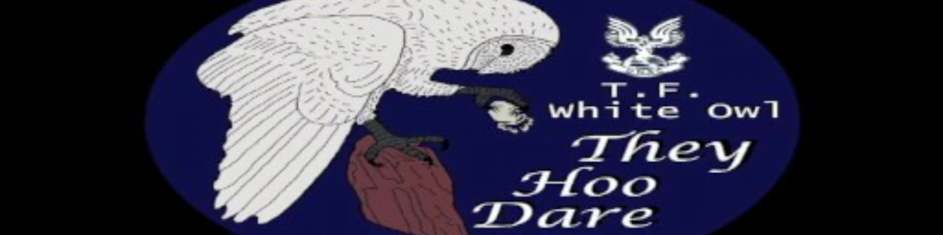 Task Force White Owl banner