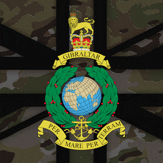 40 Commando Royal Marines insignia